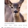 HavingALongNameOnPurpose profil fotoğrafı