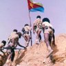 Profilbild von Mussie Tekle