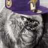 King Skolslaw profil fotoğrafı