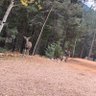 M Brook profil fotoğrafı
