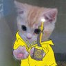Devilure profil fotoğrafı