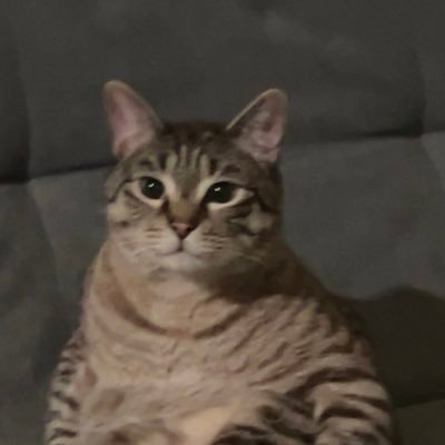 baredex's profile picture