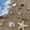 ⚘ profil fotoğrafı