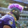#FlockMan88's profile picture