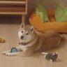 Profilbild von オササン