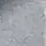 dfgfg's profile picture