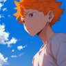Shoyo Hinata's profile picture