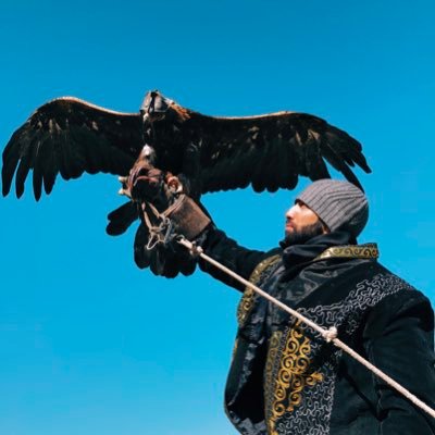 y_k_alrashid's profile picture