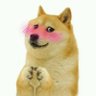 Dogesh Bhaimya's profile picture