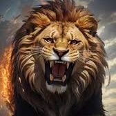 stan_zicci's profile picture