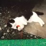 えっちゃん 的头像