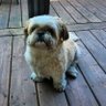 Michelle's profile picture