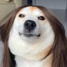 Profilbild von 婐視伲壩