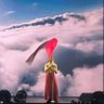 Elle's profile picture