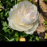 @hiro profil fotoğrafı