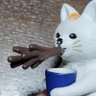 猫大好き🐾 profil fotoğrafı