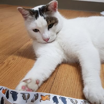 yeejya's profile picture