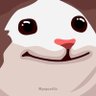 CryptoCats's profile picture