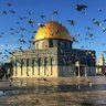 Salma Hashem profil fotoğrafı