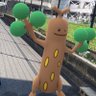 memo_boku profil fotoğrafı