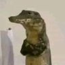 Profilbild von Bud BA