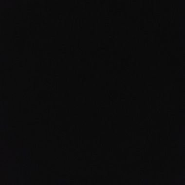 koala613912's profile picture