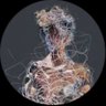 Profilbild von A