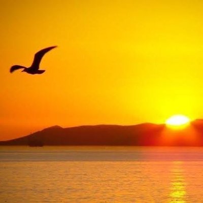 Dee_29Oct's profile picture