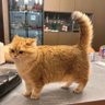 0404duke profil fotoğrafı