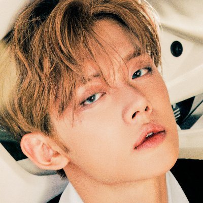 muse_cyj's profile picture