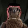 فكر's profile picture