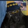 Profilbild von Tucumano Bostero