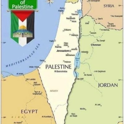 د. نداء الخميس's profile picture