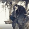 Xhano Yuan🎭's profile picture