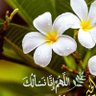 ali aliraqi profil fotoğrafı
