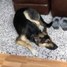 Фото профиля Sammy