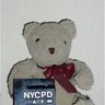 Shirley Bear's profile picture