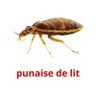 LesbianDeGaulle's profile picture