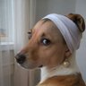 Profilbild von Ameinda