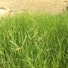 Фото профиля خلفان دوم يدور