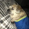 Liz Valenzuela's profile picture