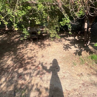 ☀️'s profile picture