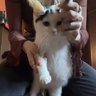 Kiaro 的头像