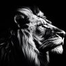 DRib007 profil fotoğrafı