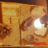 bakul ayam profil fotoğrafı