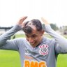 Profilbild von dasnel.sccp