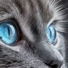 Profilbild von lorrein