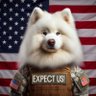 SCHOOL BONDS NIGHT DOG's profile picture