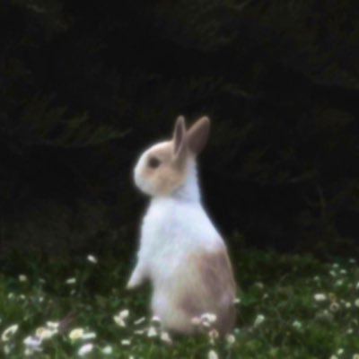 jennie_log's profile picture