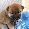 げんきだよ profil fotoğrafı